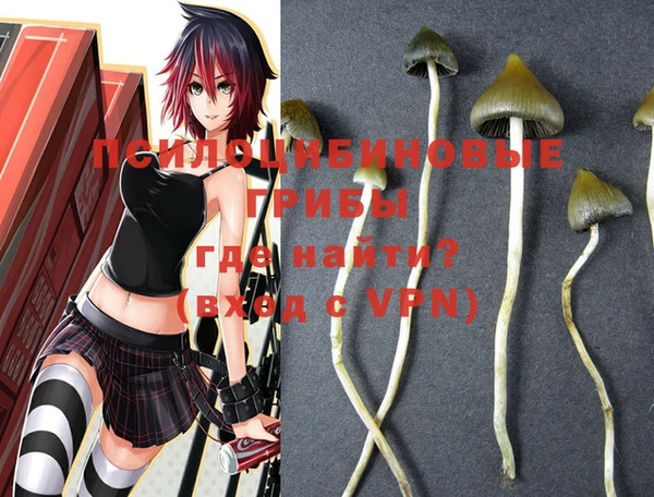 эйфоретик Приозерск